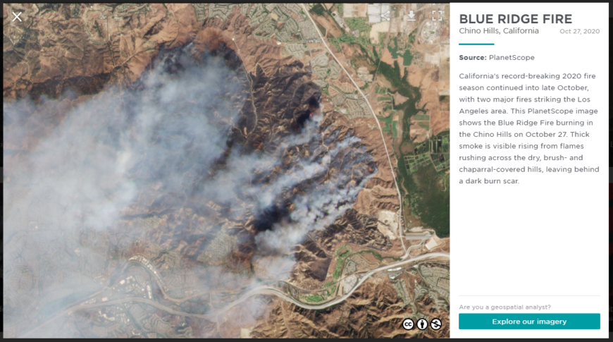 October News Digest – Bee Science News